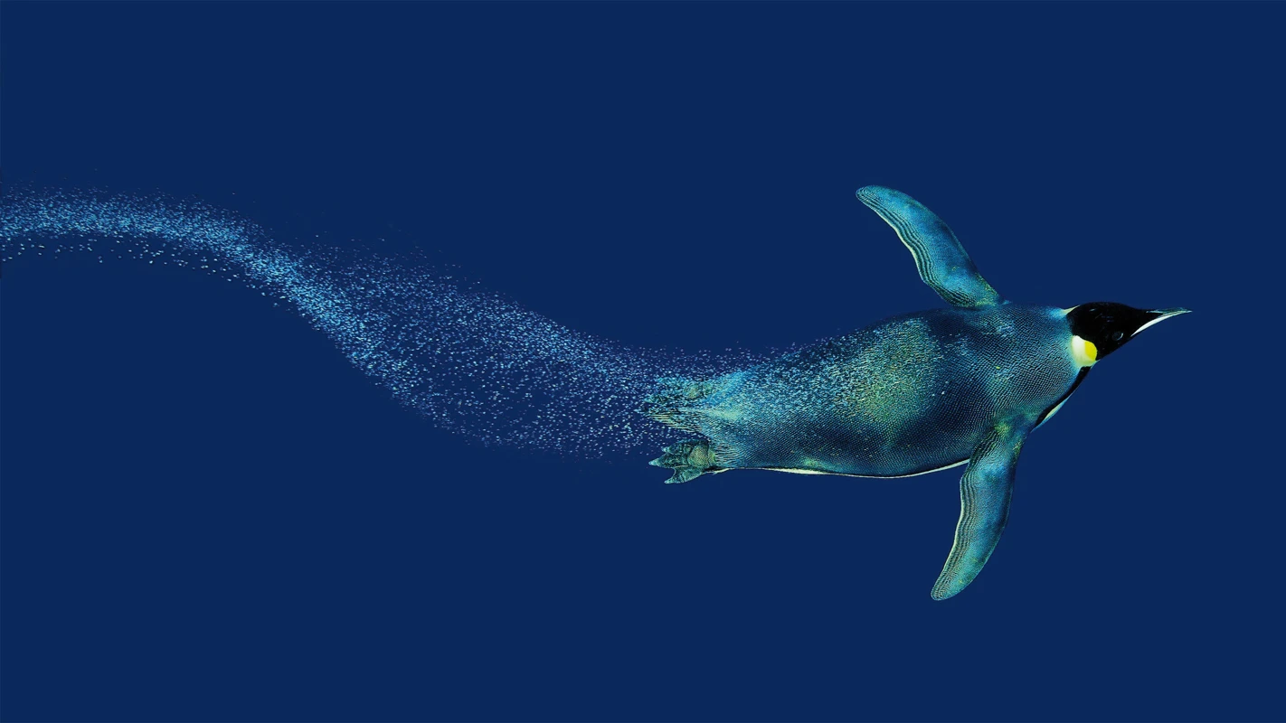 A penguin swimming under water