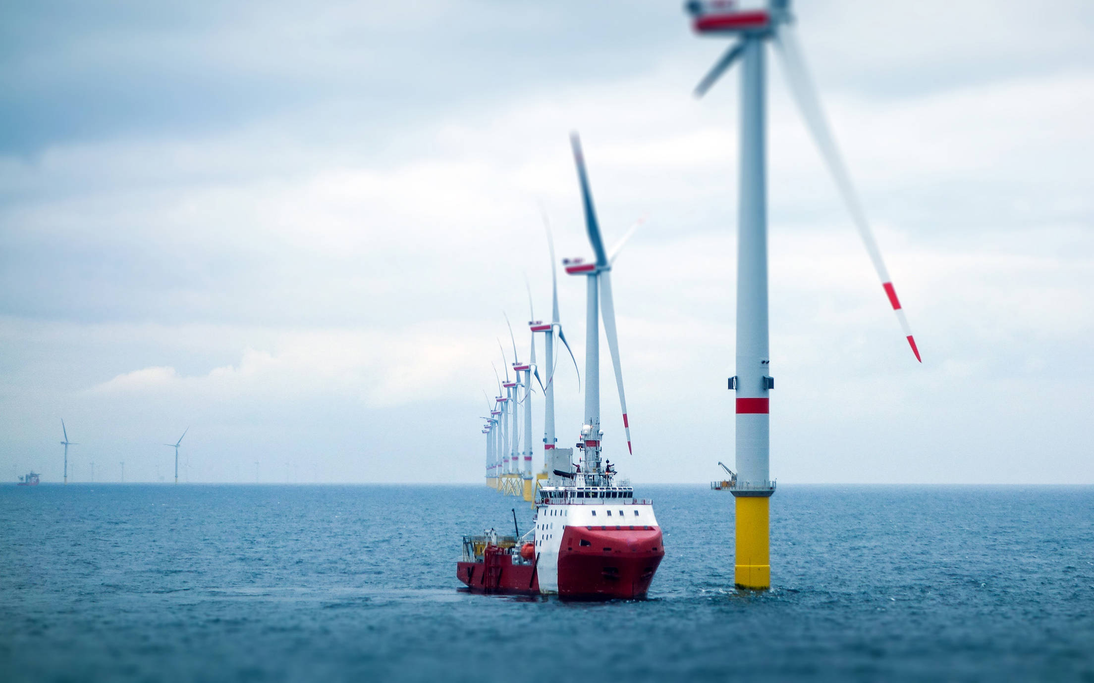 Offshore wind farm with supply ship