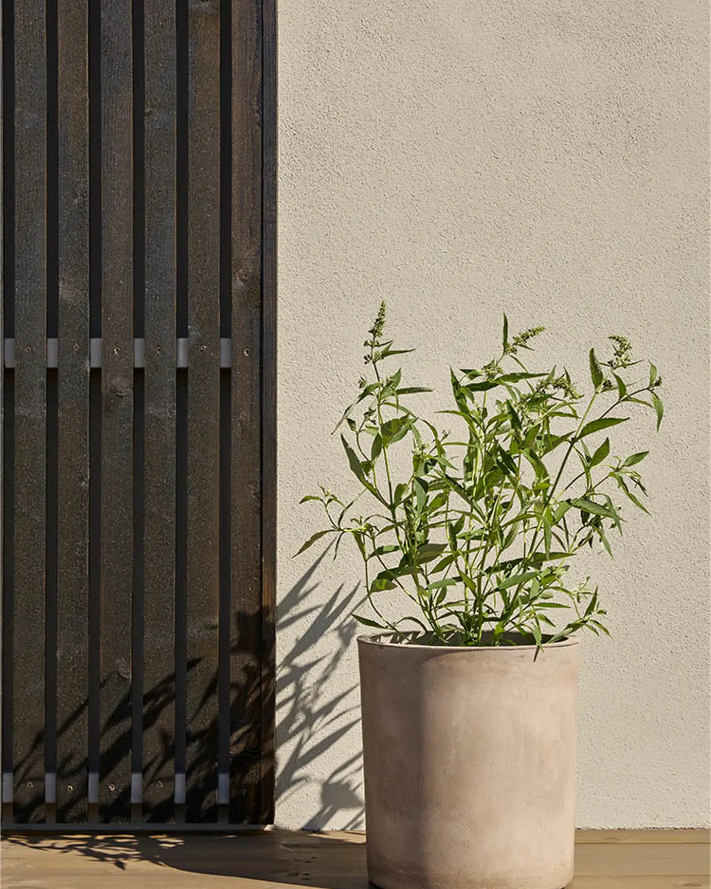 TREBITT 0675 Seterbrun - 1491 Slipestein - 90028 Skyggebrun